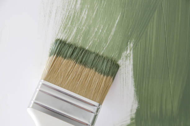 Best Mold Remediation for Vacation Homes  in Park Rapids, MN