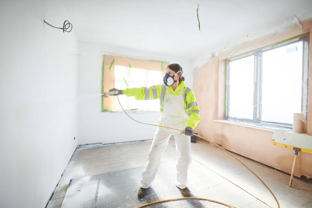 Best Water Damage & Mold Remediation  in Park Rapids, MN