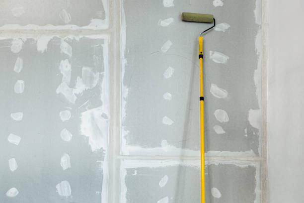 Best Asbestos and Lead Testing During Mold Inspection  in Park Rapids, MN