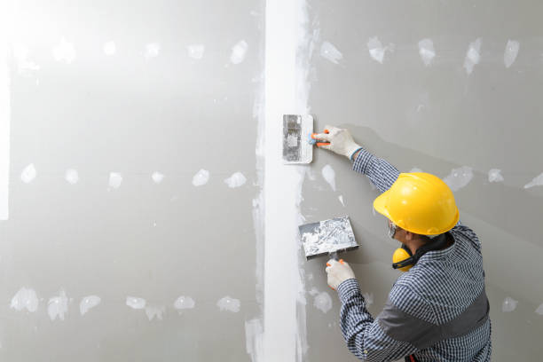 Best Water Damage & Mold Remediation  in Park Rapids, MN