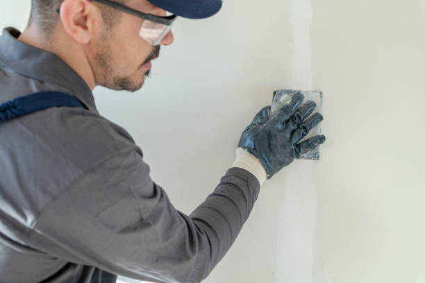 Best Air Quality Testing for Mold Spores  in Park Rapids, MN