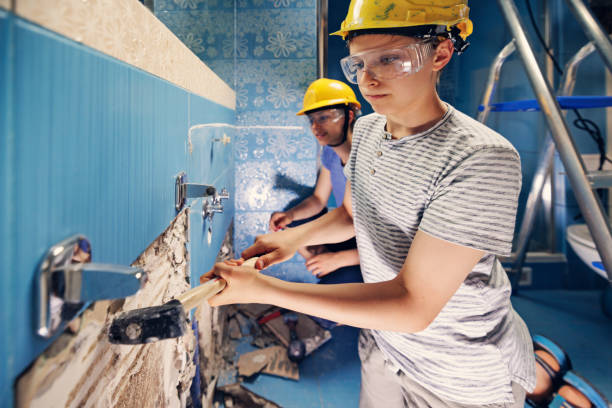 Best Mold Removal for HVAC Installations  in Park Rapids, MN