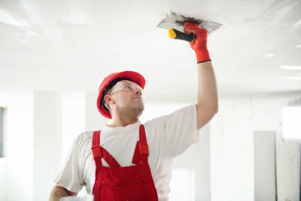 Best Mold-Related Health Consultation  in Park Rapids, MN