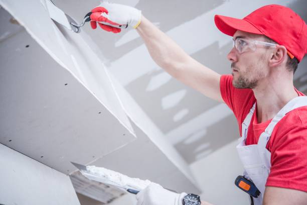 Best Environmental Consulting for Mold Prevention  in Park Rapids, MN