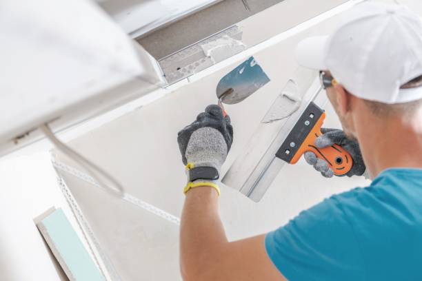 Best Basement Mold Removal  in Park Rapids, MN